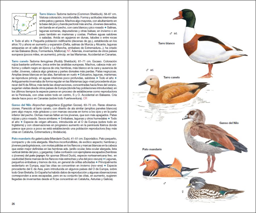 Aves de España sample page